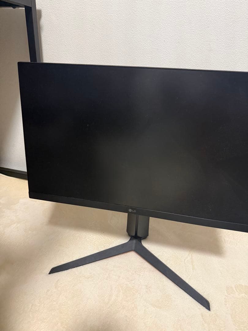 LG ディスプレイ ROG ロゴ付き 本体