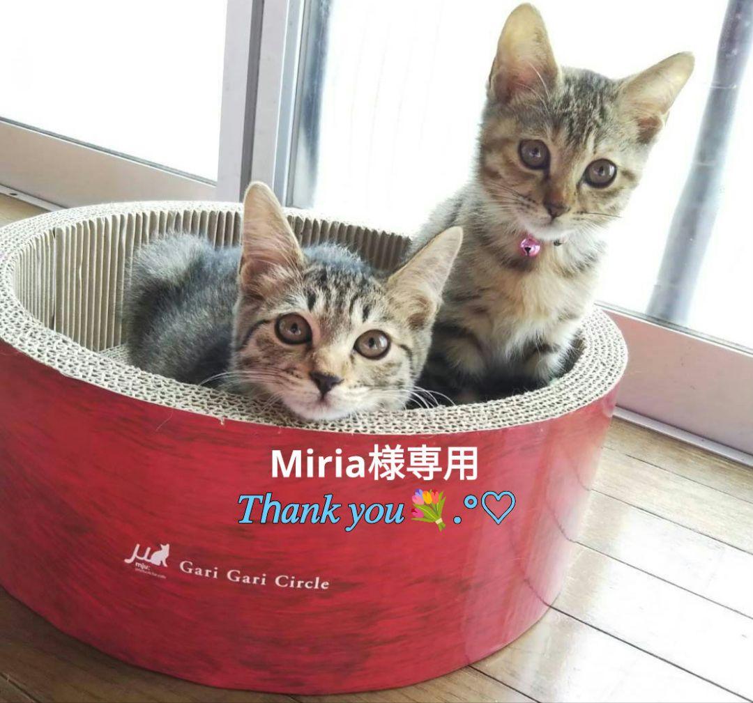 シーグラスアート いちごのプリンセスとミニうさちゃん*.+゜