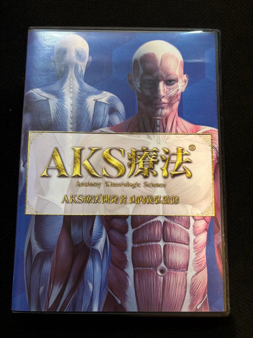 AKS療法 DVD6枚　シンデレラ‧リッチセラピスト養成講座の山内義弘先生監修