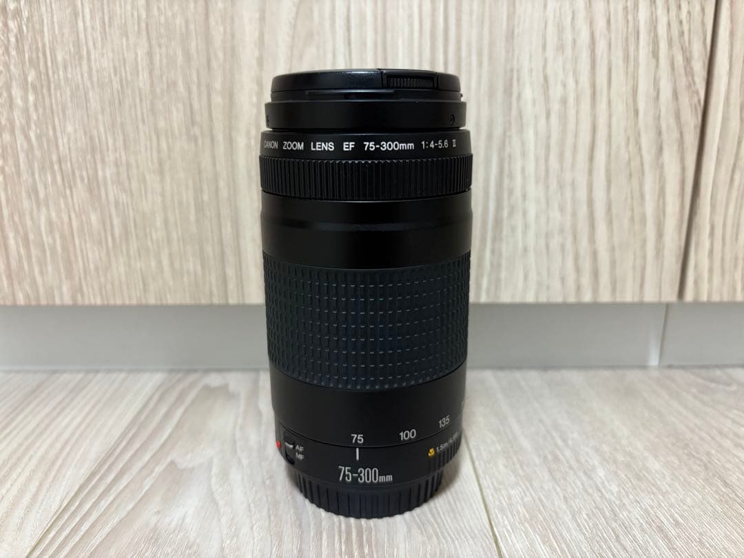 【超美品】CANON キヤノン EF 75-300mm F4-5.6 II 望遠