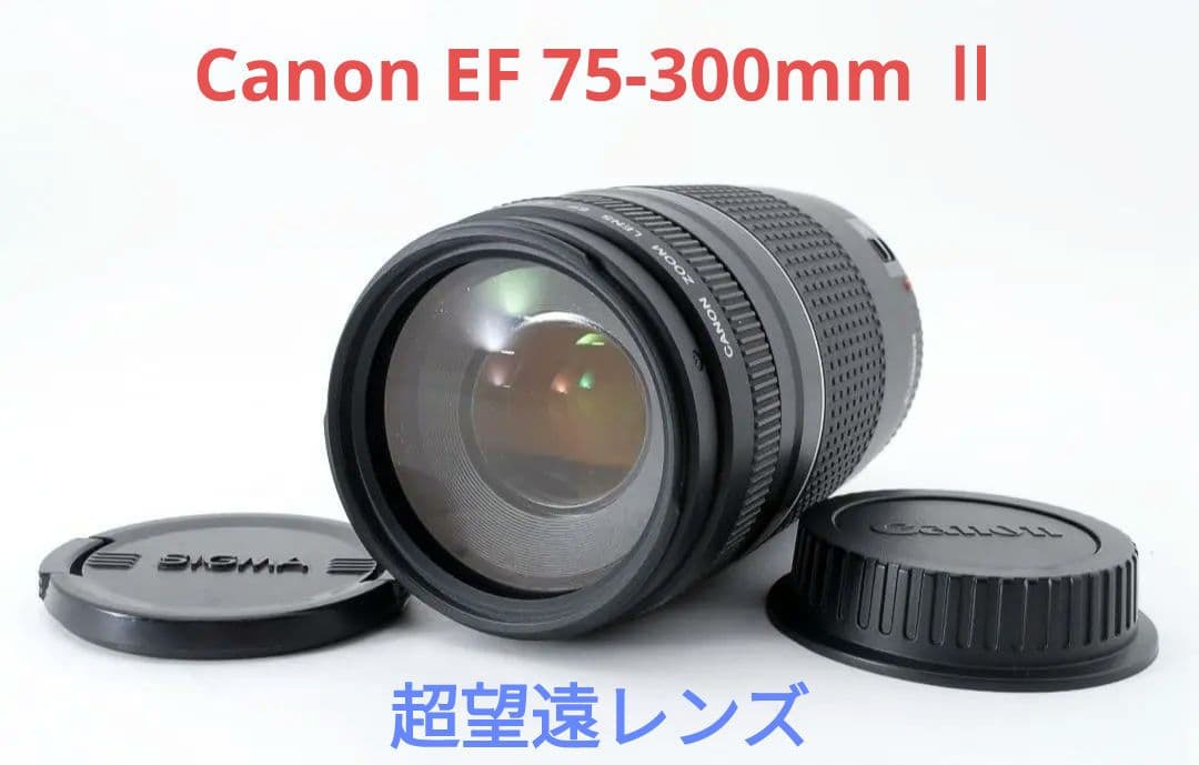 1月23日限定特価♪【超望遠レンズ】Canon EF 75-300mm Ⅱ