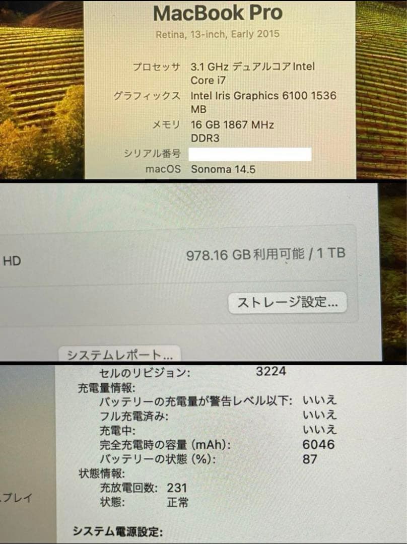 MacBook本体 MacBook pro 13-inch i7 16GB 1TB CTO