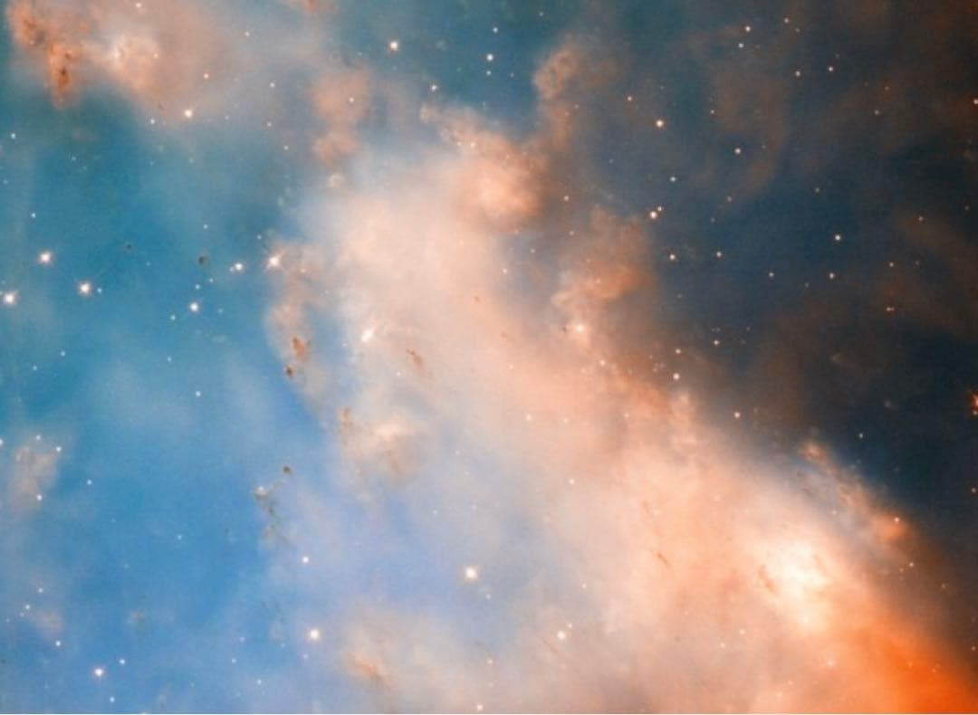 mk　フルオーダーリング