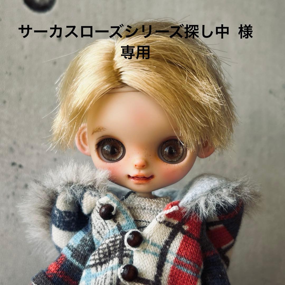 プチブライスカスタム おさかな☆ドール 専用