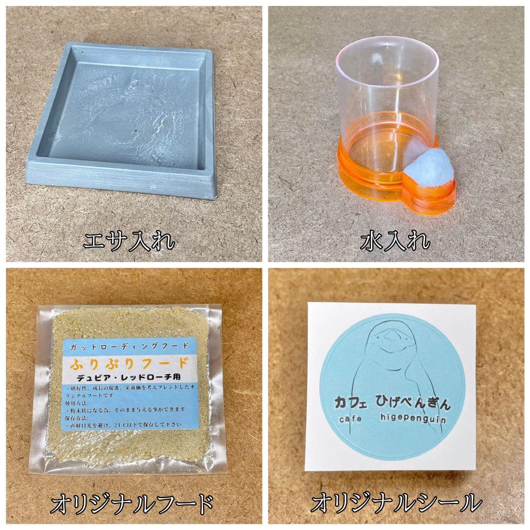 いふ様　S(フル)