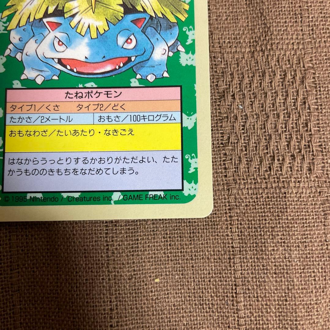 ポケモンカード　トップサン　リザードン　フシギバナ　裏青　BLUE 初期