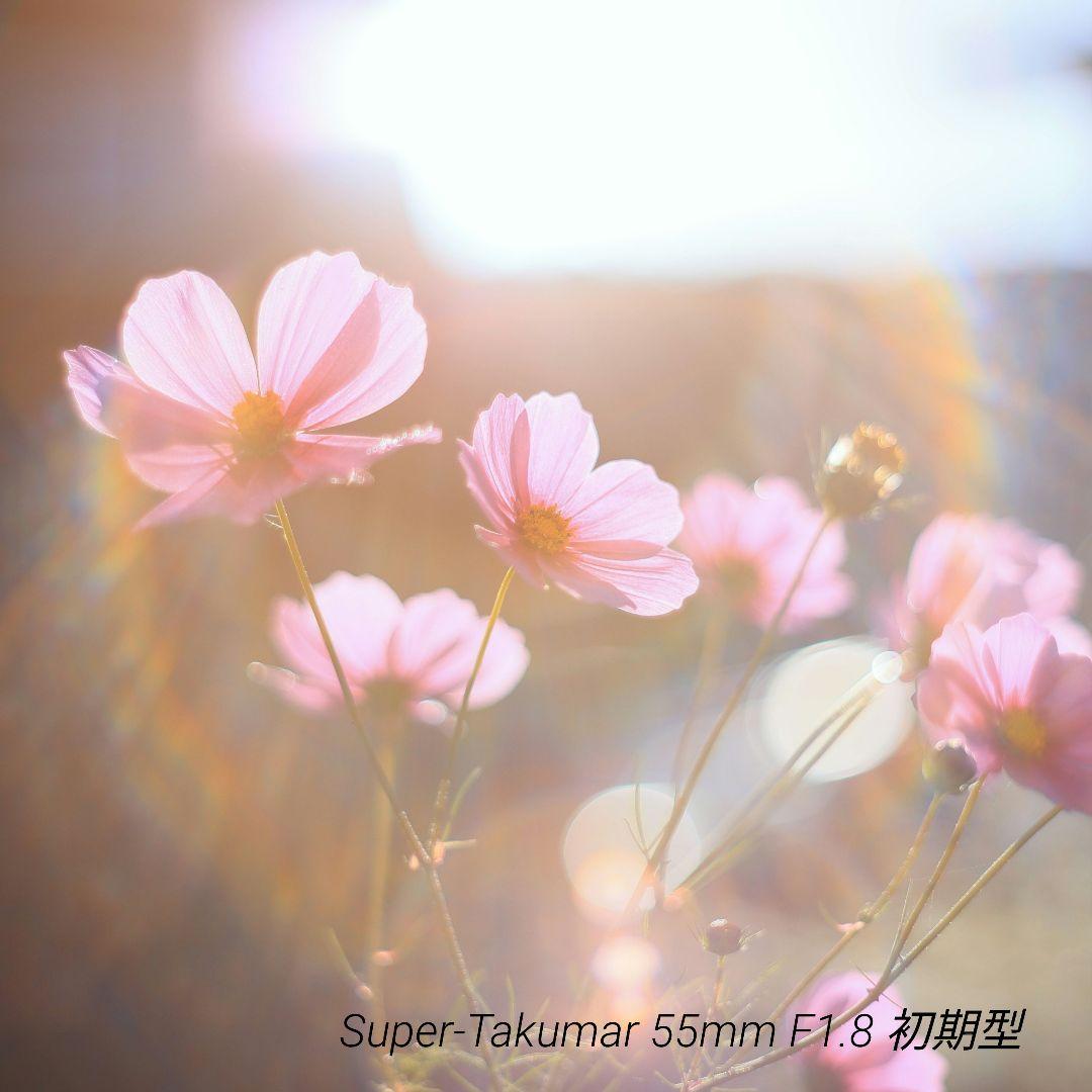 Super-Takumar 55mm F1.8 初期型 S/N：629947