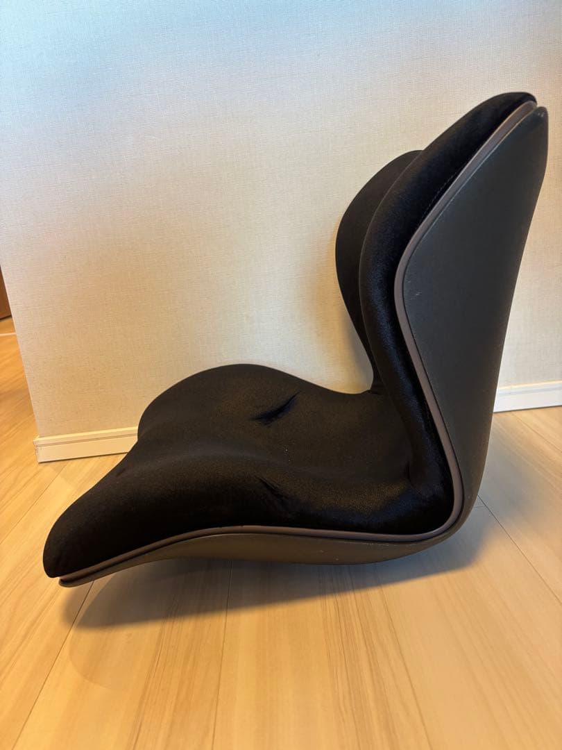 Style PREMIUM DX スタイルプレミアム デラックス