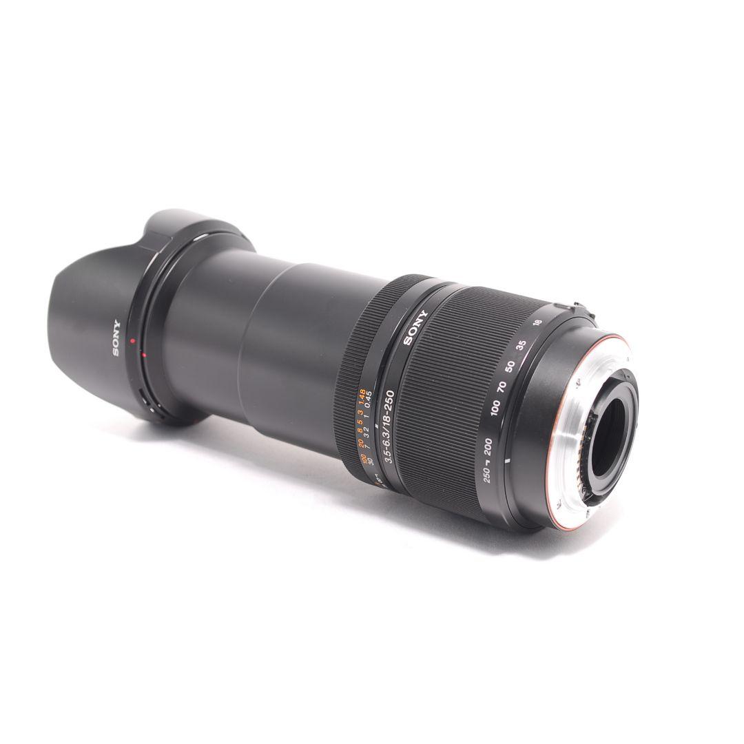 ❤即購入1000円OFF❤ SONY DT 18-250mm 広角＆望遠レンズ