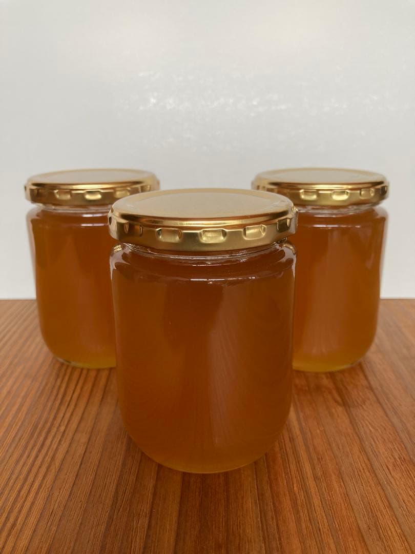 日本ミツバチのハチミツ　たれ蜜　300g×3個❣️送料込み‼️