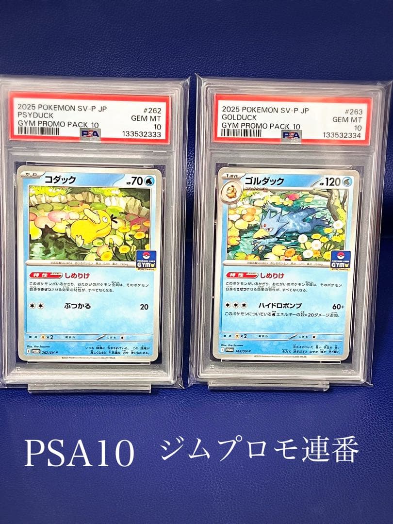 【psa10】ジムプロモ　コダック ゴルダック連番 しめりけ 262/SV-P