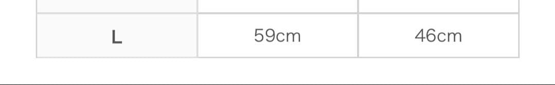 ノースフェイス　ギアメッシュベスト