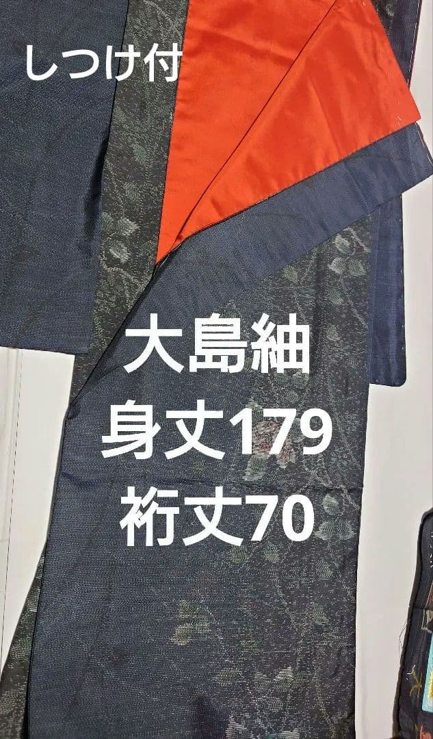 【あんこ❣】スーパートールサイズ❣　 大島紬　身丈179 裄70　しつけ付