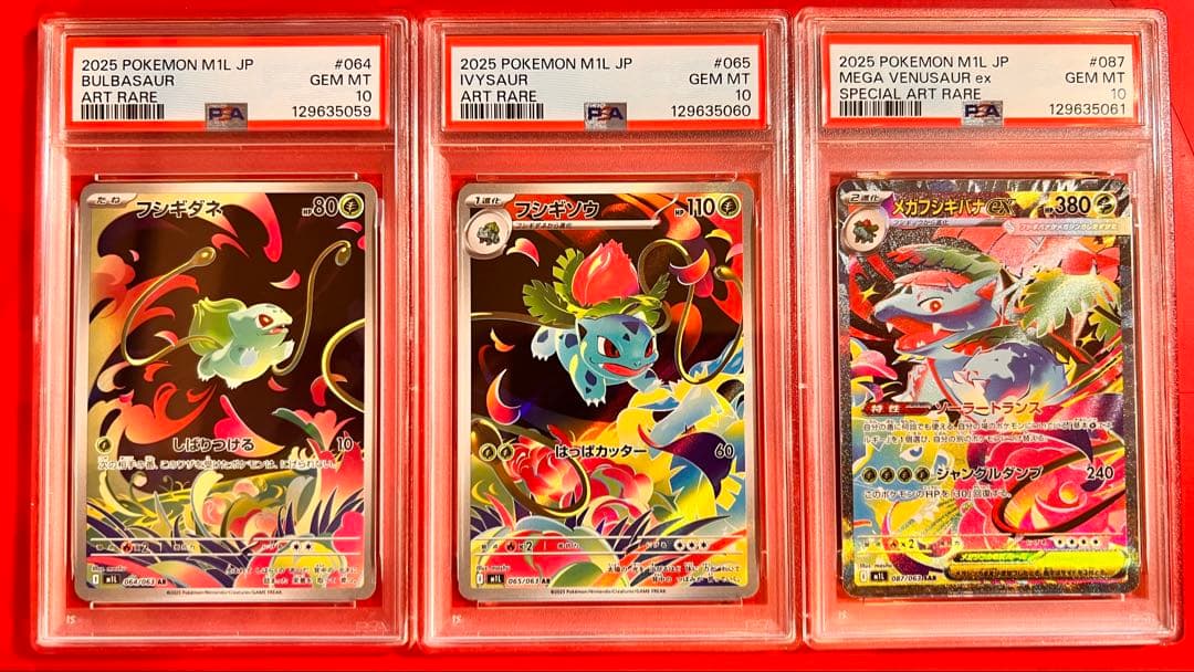 PSA10 連番 メガフシギバナex フシギソウ フシギダネ 3枚セット