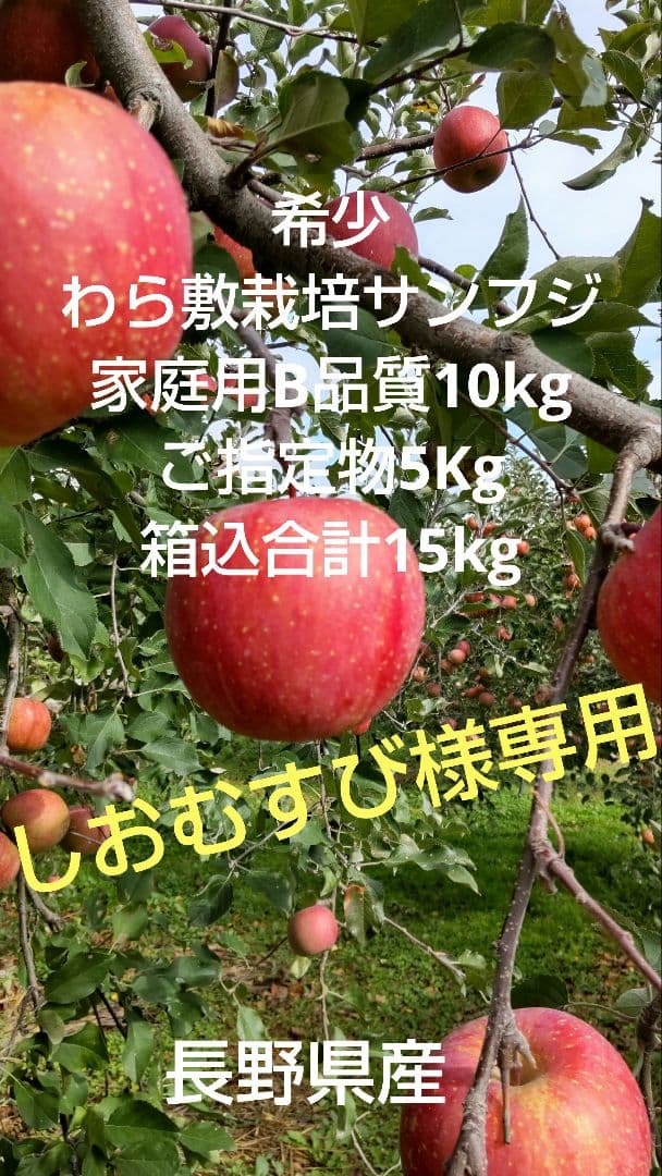 しおむすび様用希少わら敷サンふじ家庭用Ｂ品質　長野産箱込約10kg+指定物5Kg