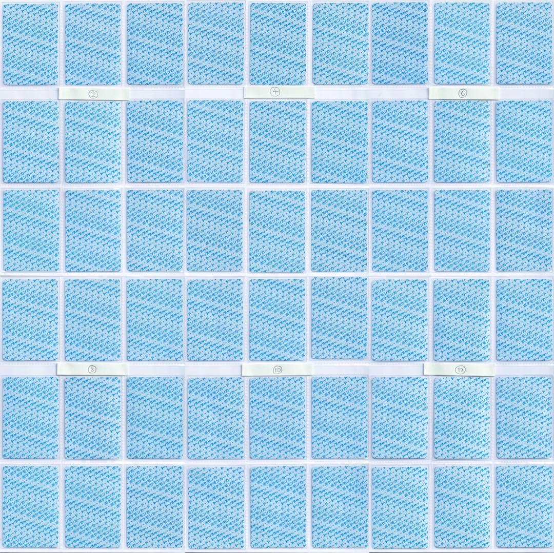 ロ*ン様 トップサン　ポケモンカード　青裏　54枚　美品