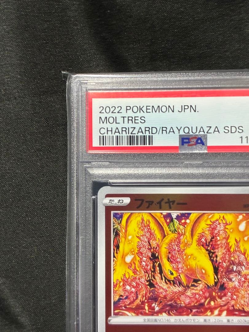 世界210枚 PSA10 ファイヤー カンダシンジshinji kanda 83