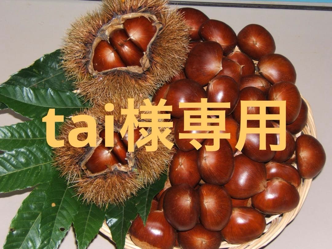 幻の栗⭐︎中山栗2L~4L混合10kgクール便（匿名不可）農家直送2025-011