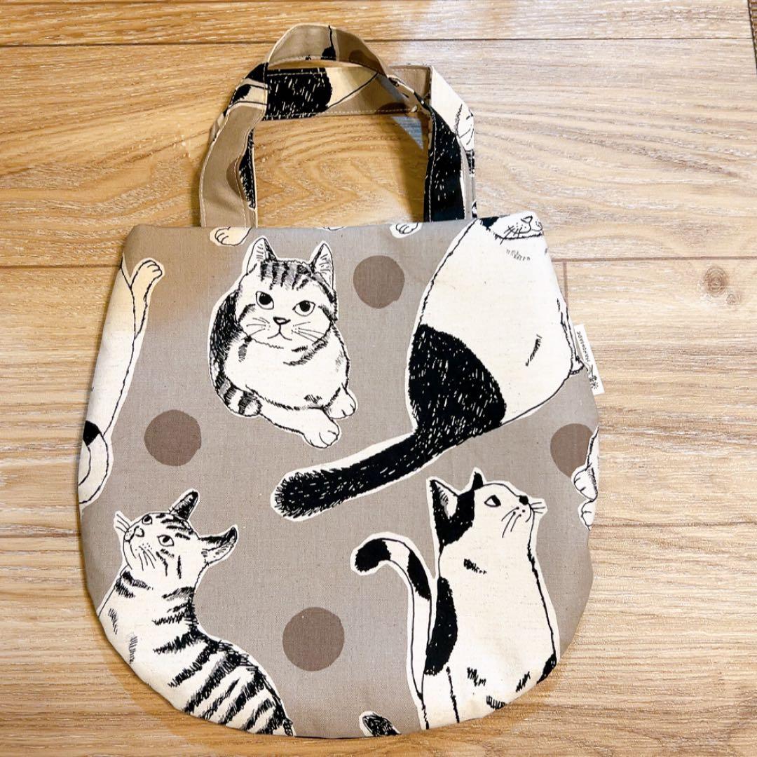 キラキラ⭐️　　花＆猫