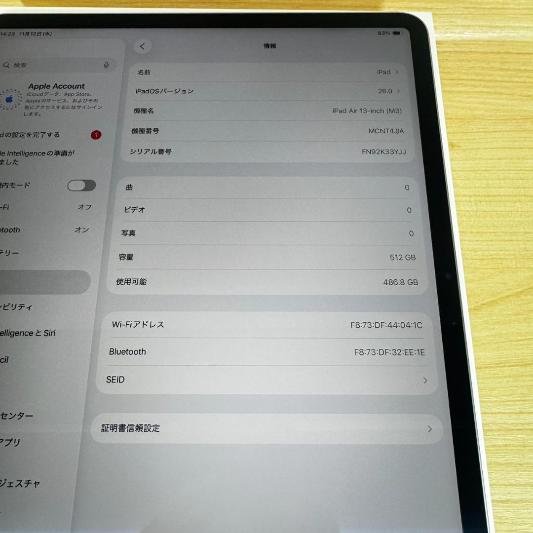 P252 未使用に近い iPad Air M3 13インチ 512GB おまけ付