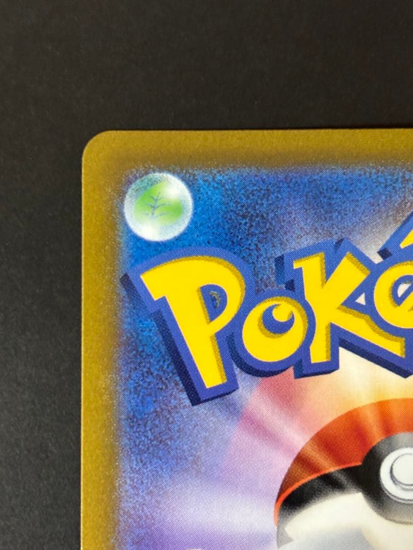 ピカチュウ２枚セット