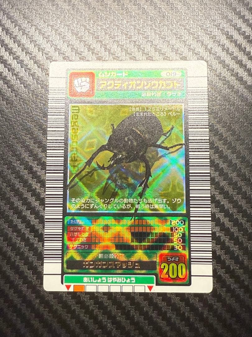 T*u様 アクティオンゾウカブト