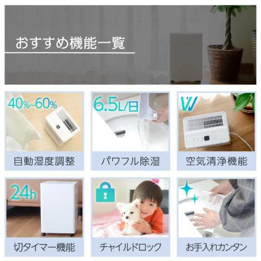 除湿機 １日最大6リットル除湿 コンプレッサー式 衣類乾燥対応 省エネ