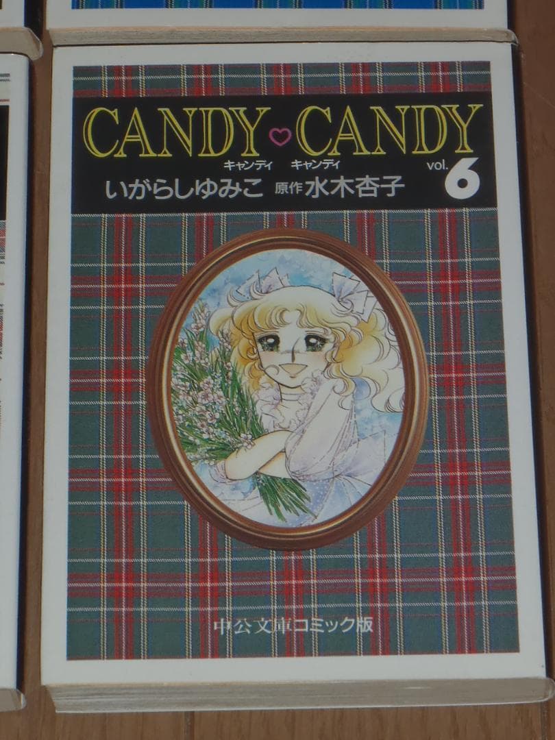キャンディ♡キャンディ　文庫版全６巻セット　　いがらしゆみこ　水木杏子