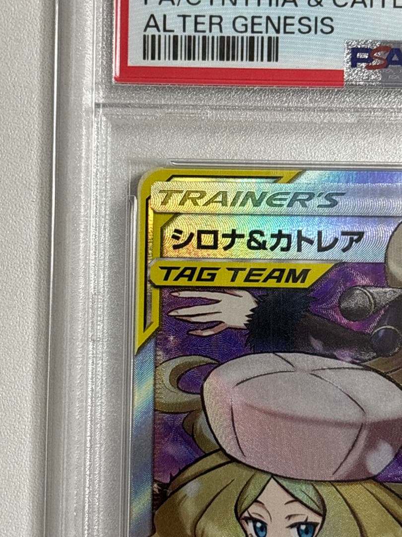 シロナ&カトレアsr シロナアンドカトレアsr 最終値下げ‼️