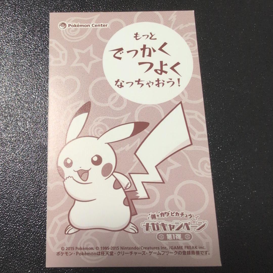 ポケモン ポンチョを着たピカチュウ メガリザードンX