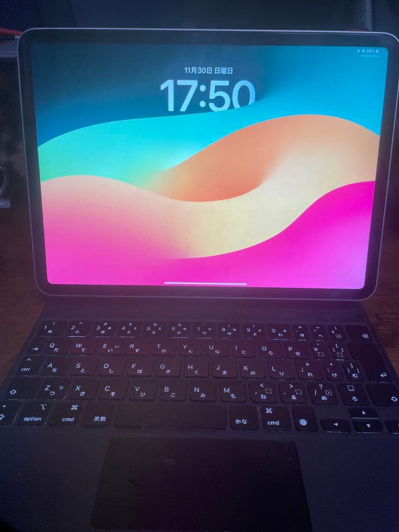 P*y様 吉*田様 Apple iPadPro 第三世代 Apple正規品 シル