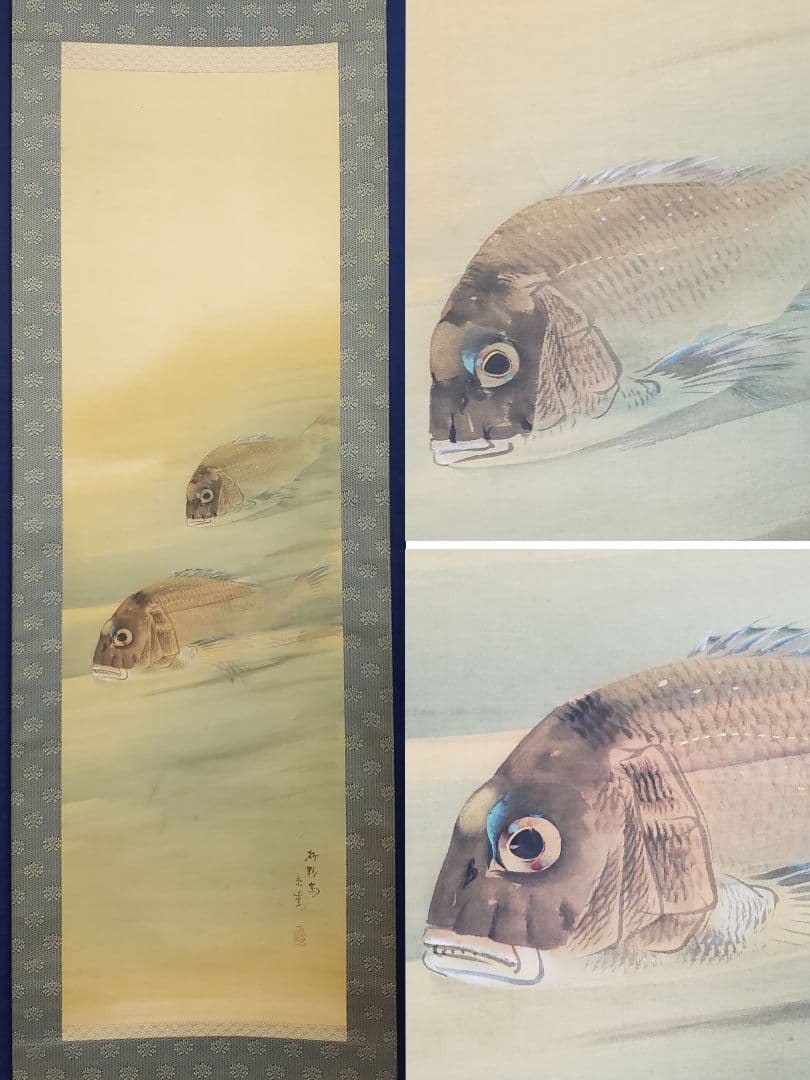 鯛図【洋中赤鬃魚】今井景樹 2600 海中の鯛 共箱　掛け軸　肉筆