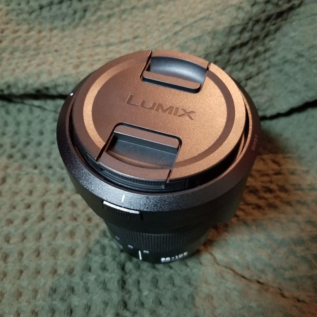 【訳あり】Panasonic LUMIX S 24-105mm F4