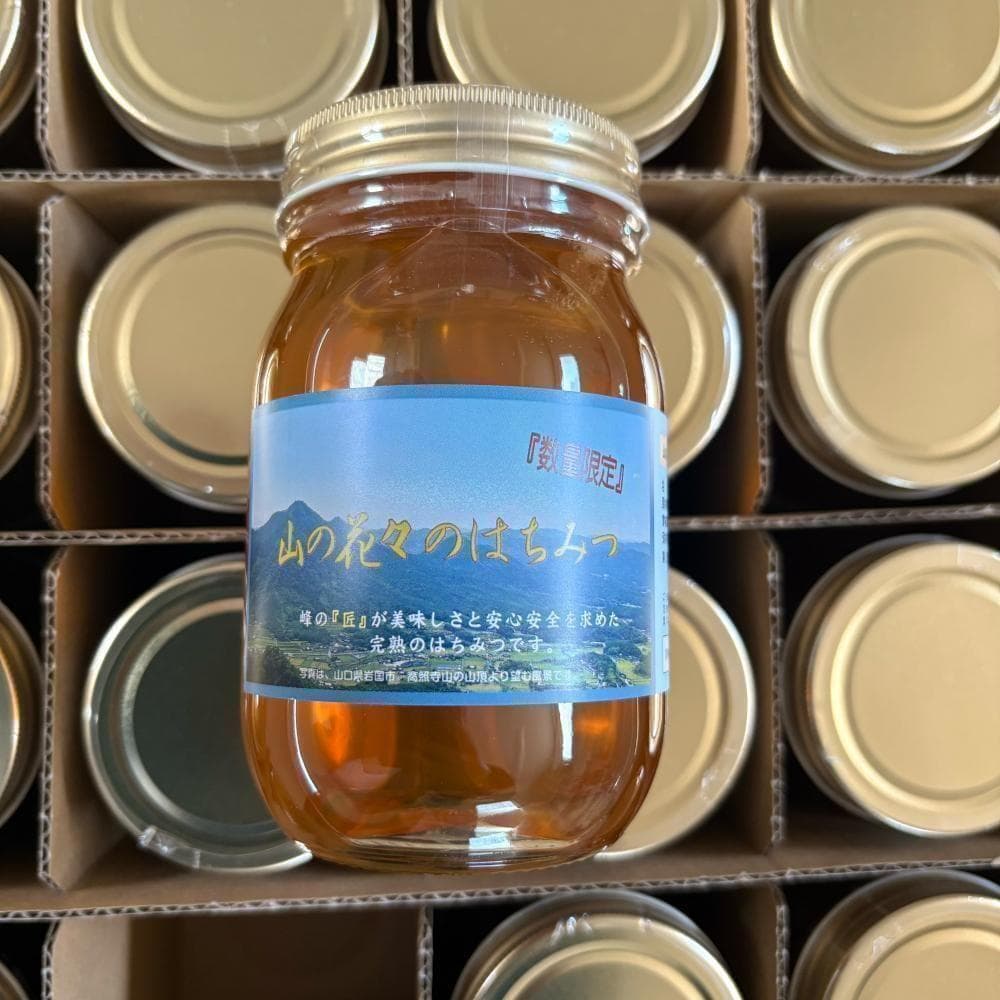 つかもと はちみつ 完熟 生 国産 純粋蜂蜜 無添加 非加熱 600g 24個