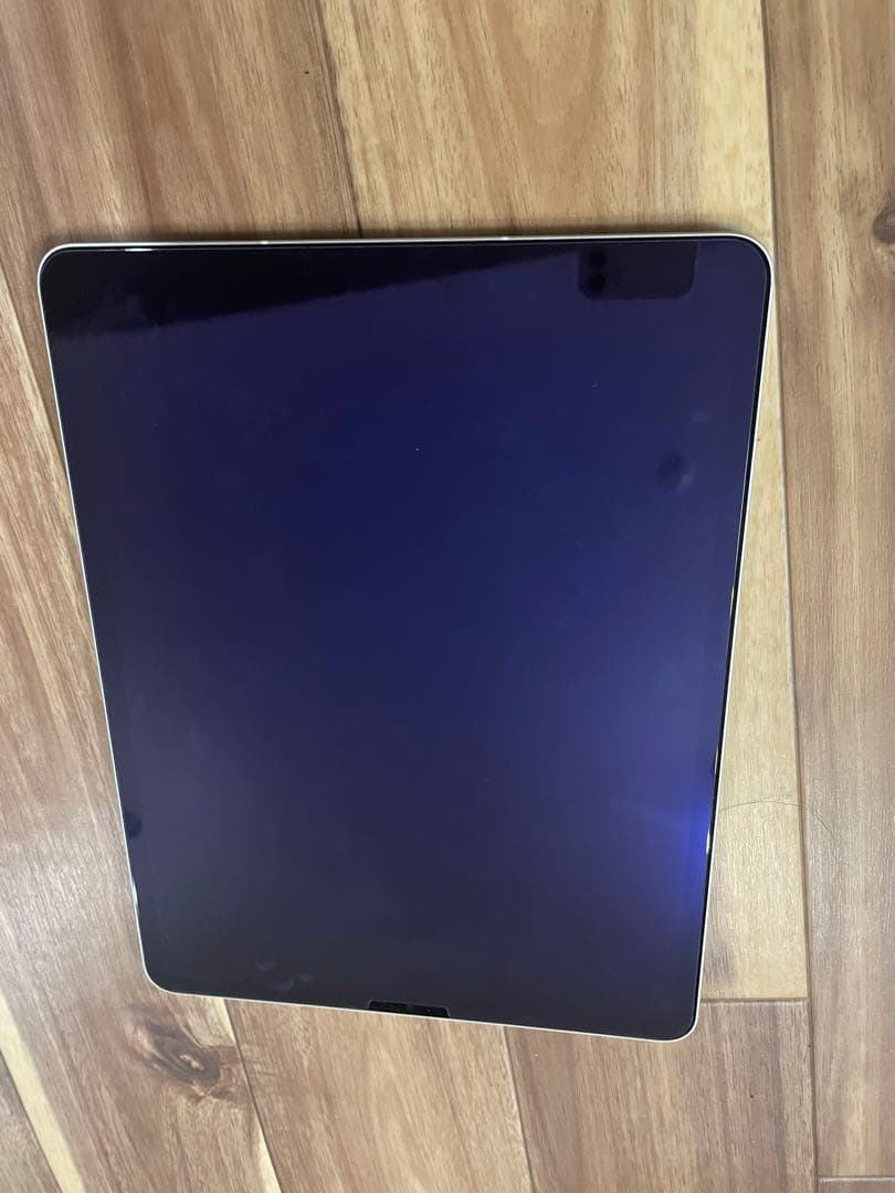 【美品】iPad Pro 12.9 第5世代 256GB