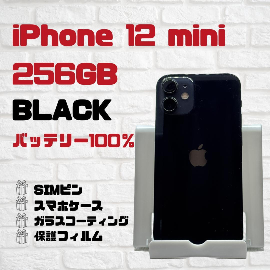 Apple iPhone 12mini　256GB