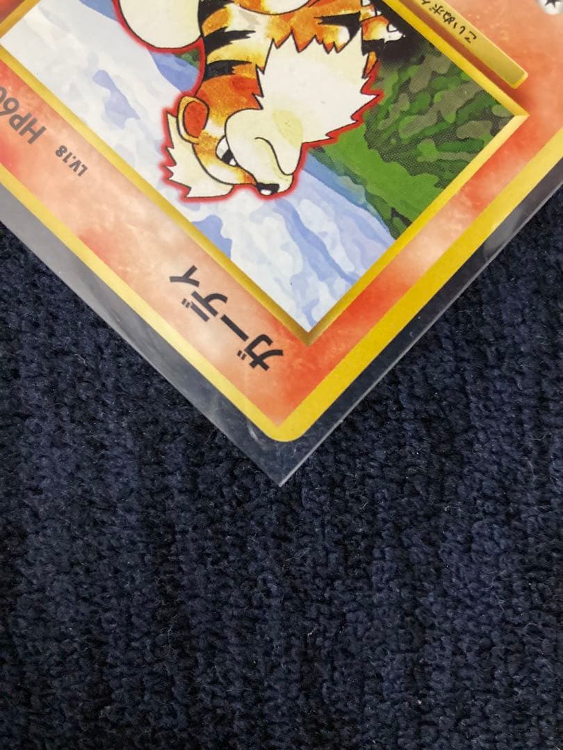 ポケモンカード ガーディ・ウィンディ セット