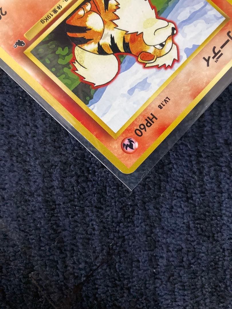 ポケモンカード ガーディ・ウィンディ セット