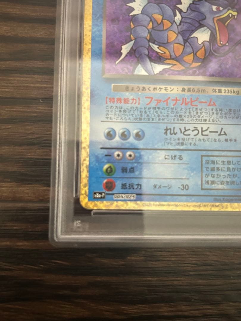 《PSA10》わるいギャラドス プロモカードパック25th ポケモンカード