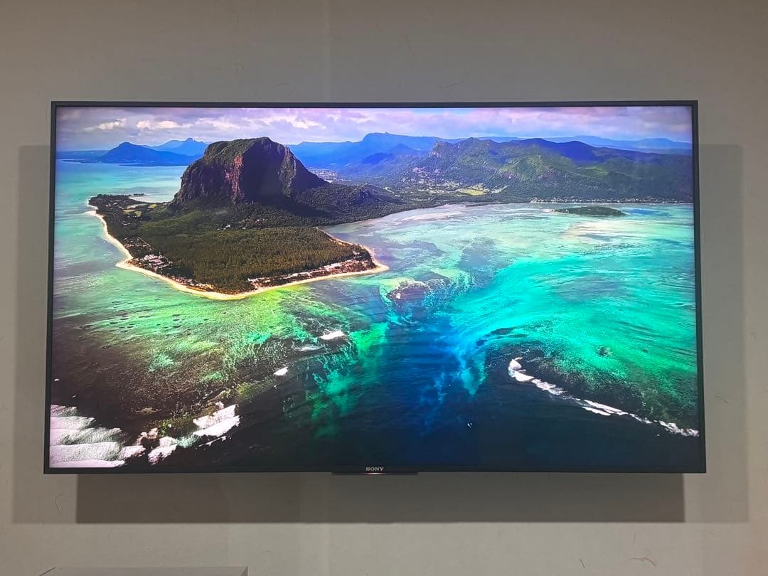 ソニー　ブラビア　49インチ　上位グレードBRAVIA KJ-49X9000E