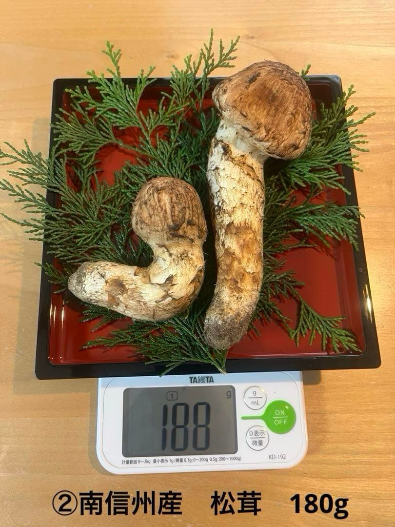 松茸180g（2本）長野県産松茸　南信州産松茸　国産松茸