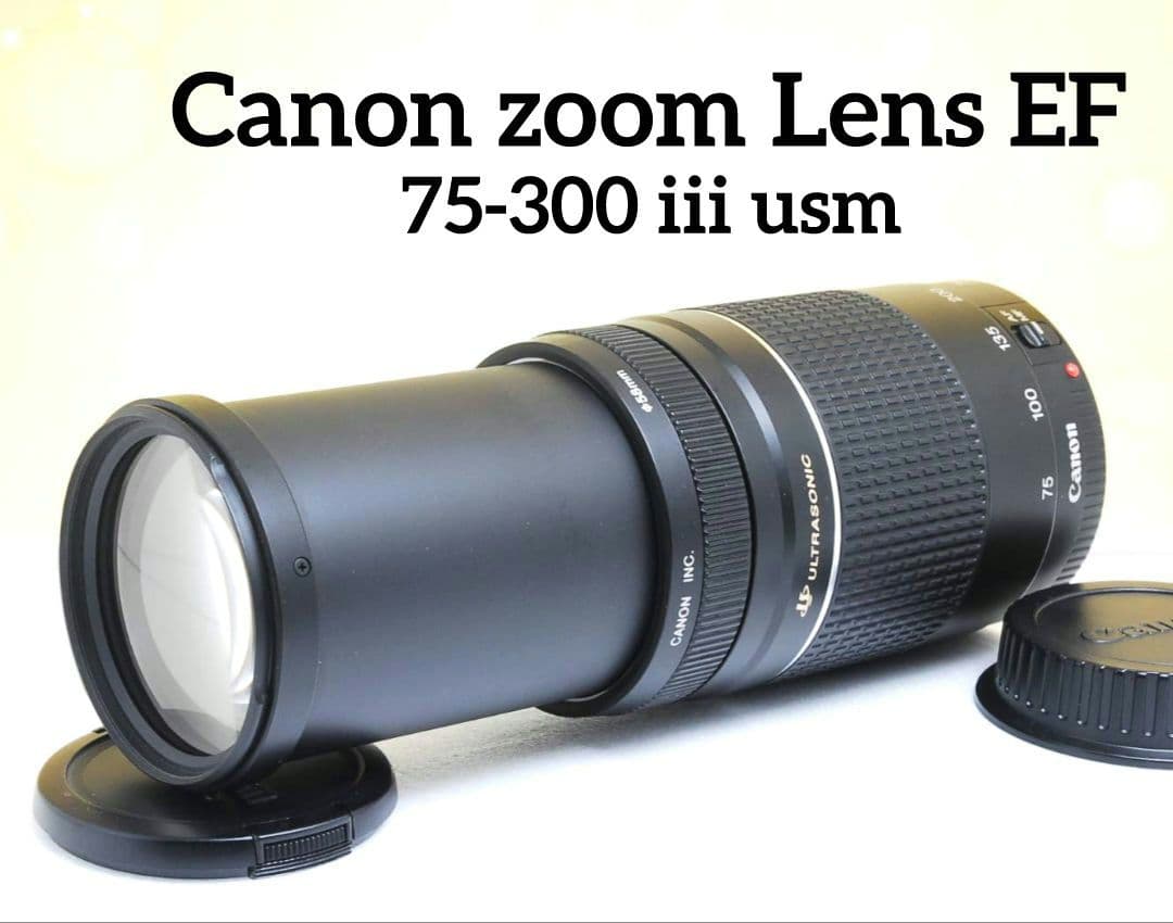 TUPAC ∞様 Canon zoom Lens EF 75-300 iii u