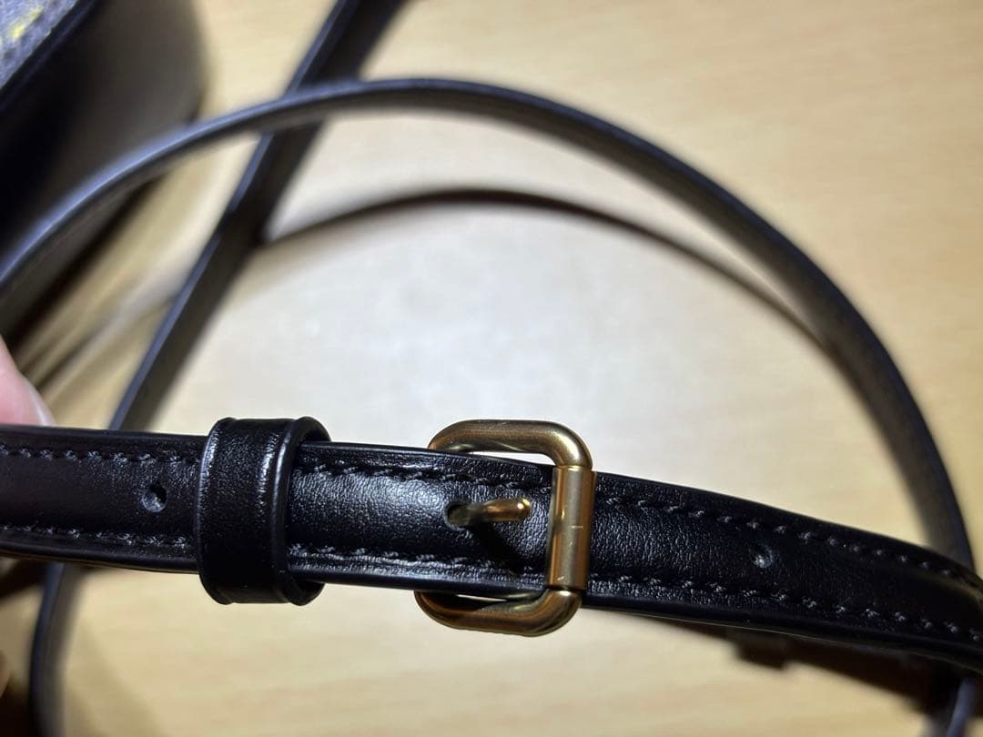 COACH スヌーピー ショルダーバッグ ウッドストック ピーナッツ