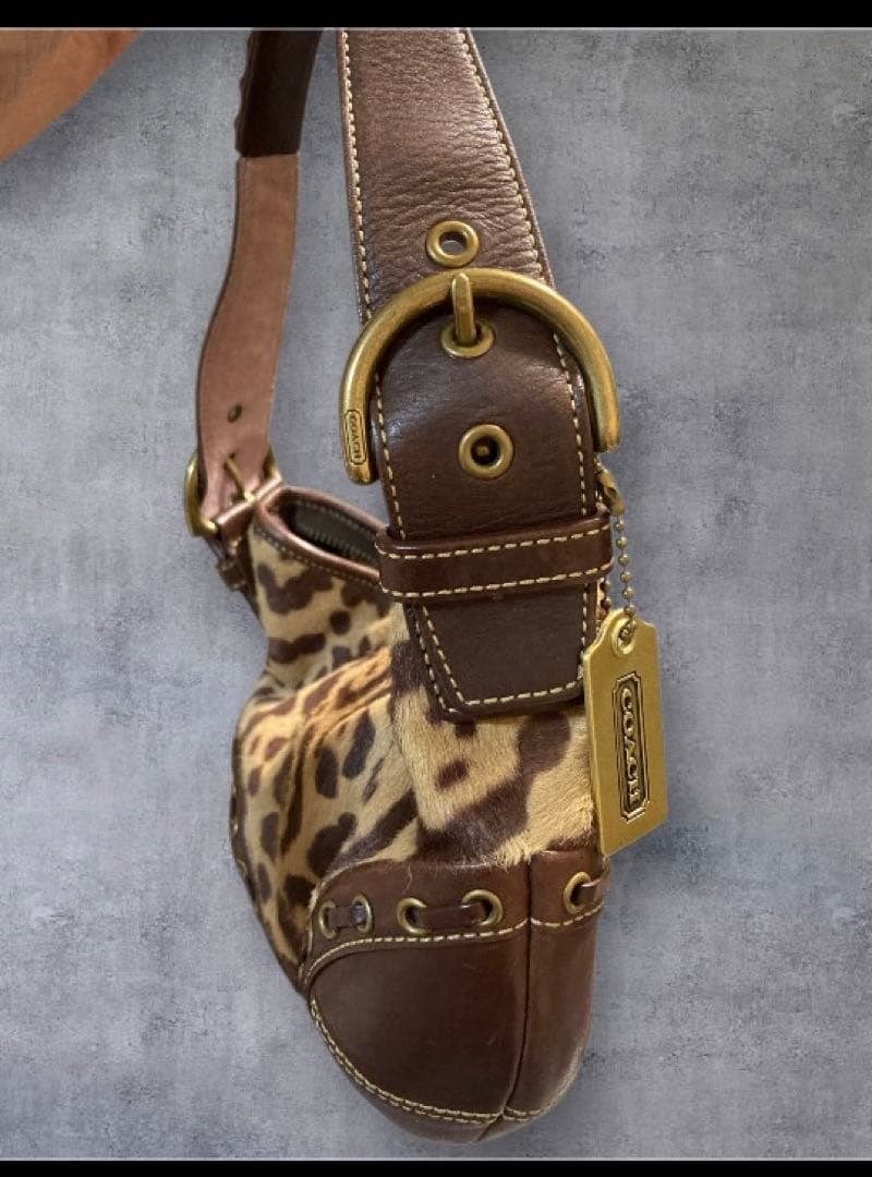 【極美品・希少】COACH コーチ ハラコ レオパード ショルダーバッグ