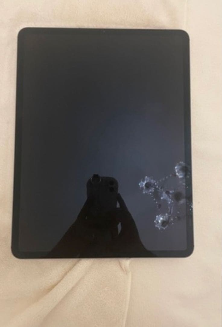 iPad本体 iPad pro 12.9