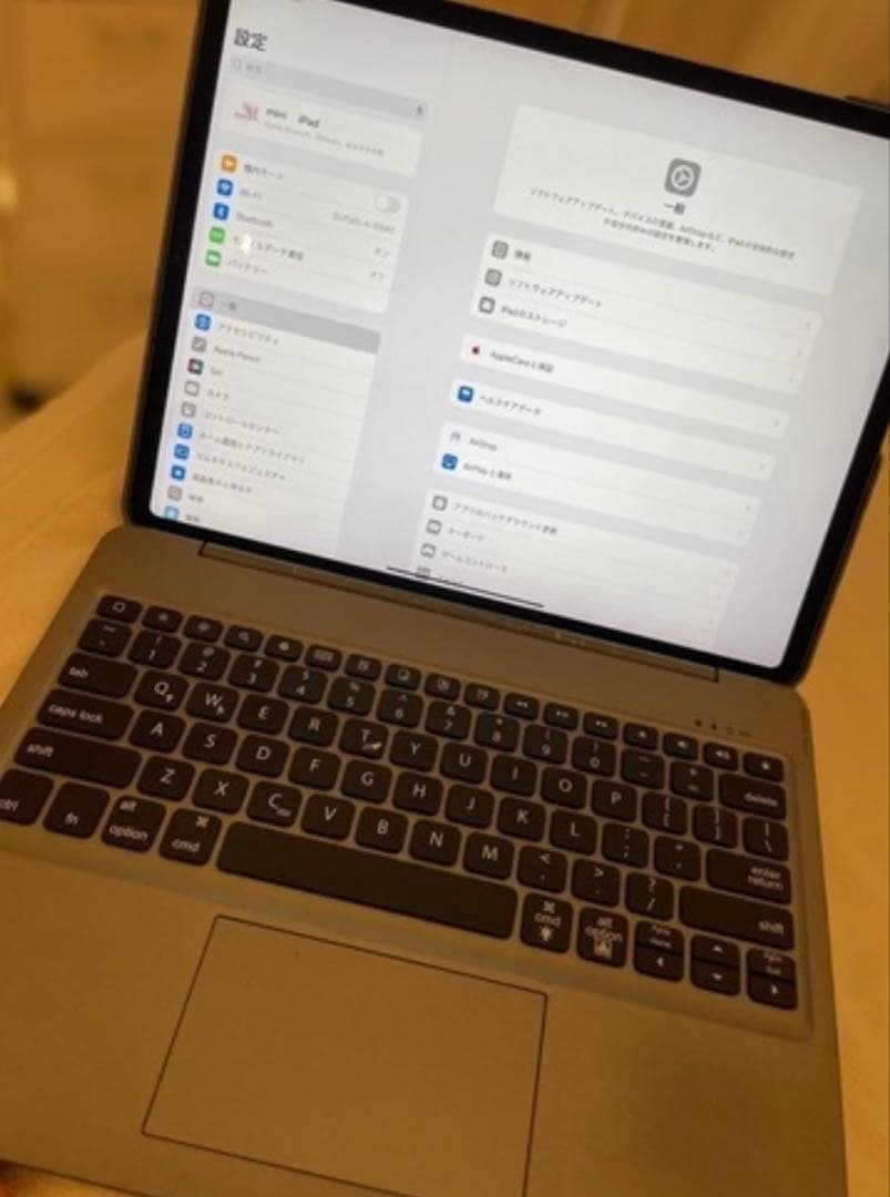 iPad本体 iPad pro 12.9