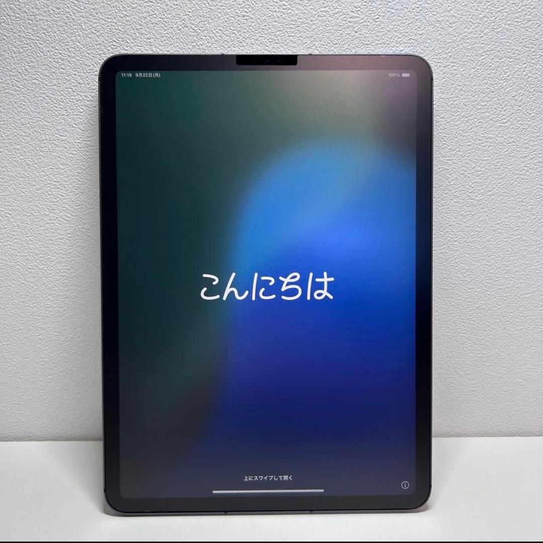 iPadPro 11インチ 第3世代 M1 256GB セルラーモデル