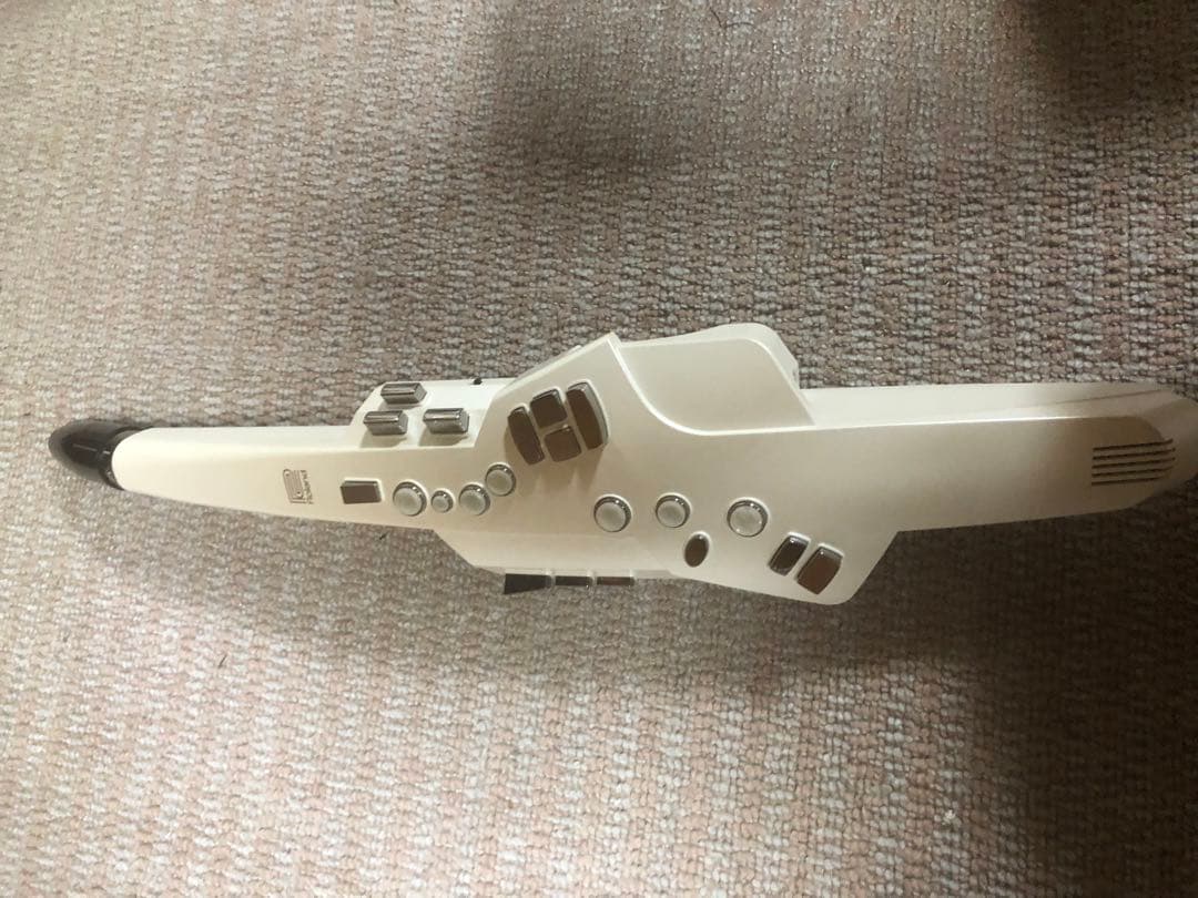 y*n様 エアロフォン Roland AE-10