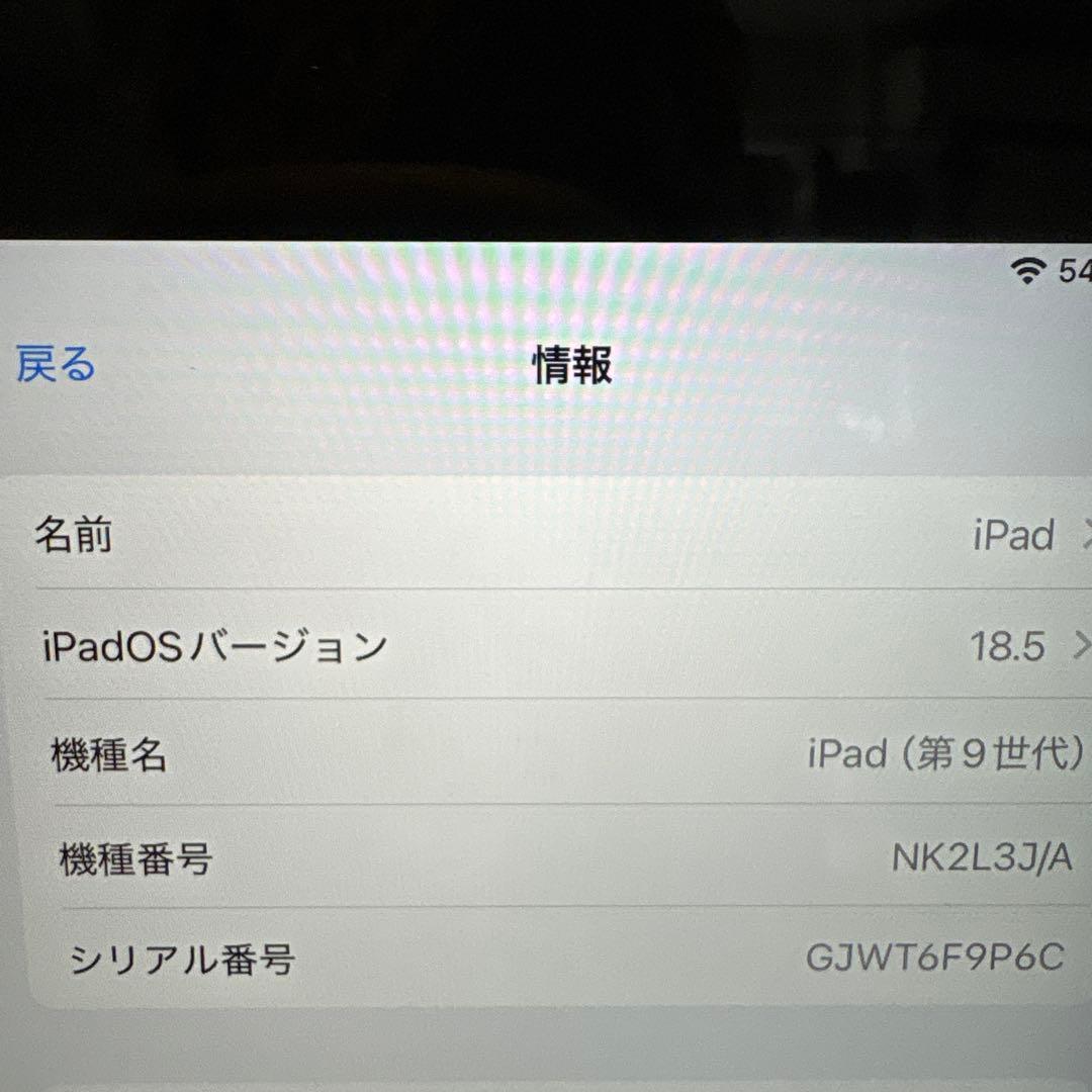 Apple iPad シルバー 大画面