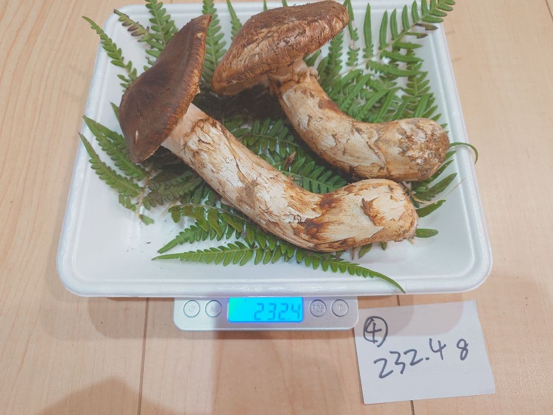 岩手県岩泉産　松茸（天然物）232g④